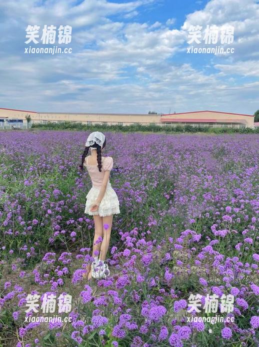 谁能拒绝黑料不打烊网页版的入口？那可是欲罢不能的存在哦